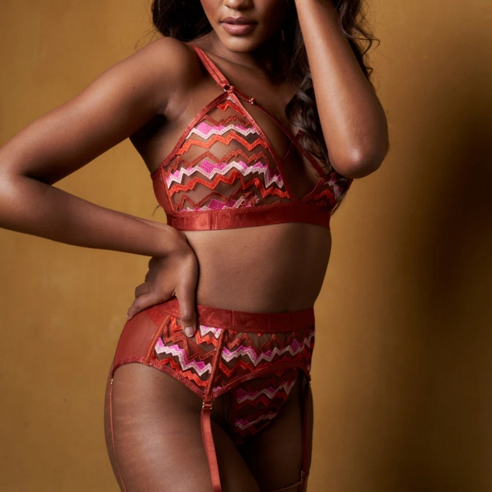 2 × KILO BRAVA - XXL & XXXL "Peaks and Valleys" Embroidered Mesh NWT Undies - Picture 4 of 16